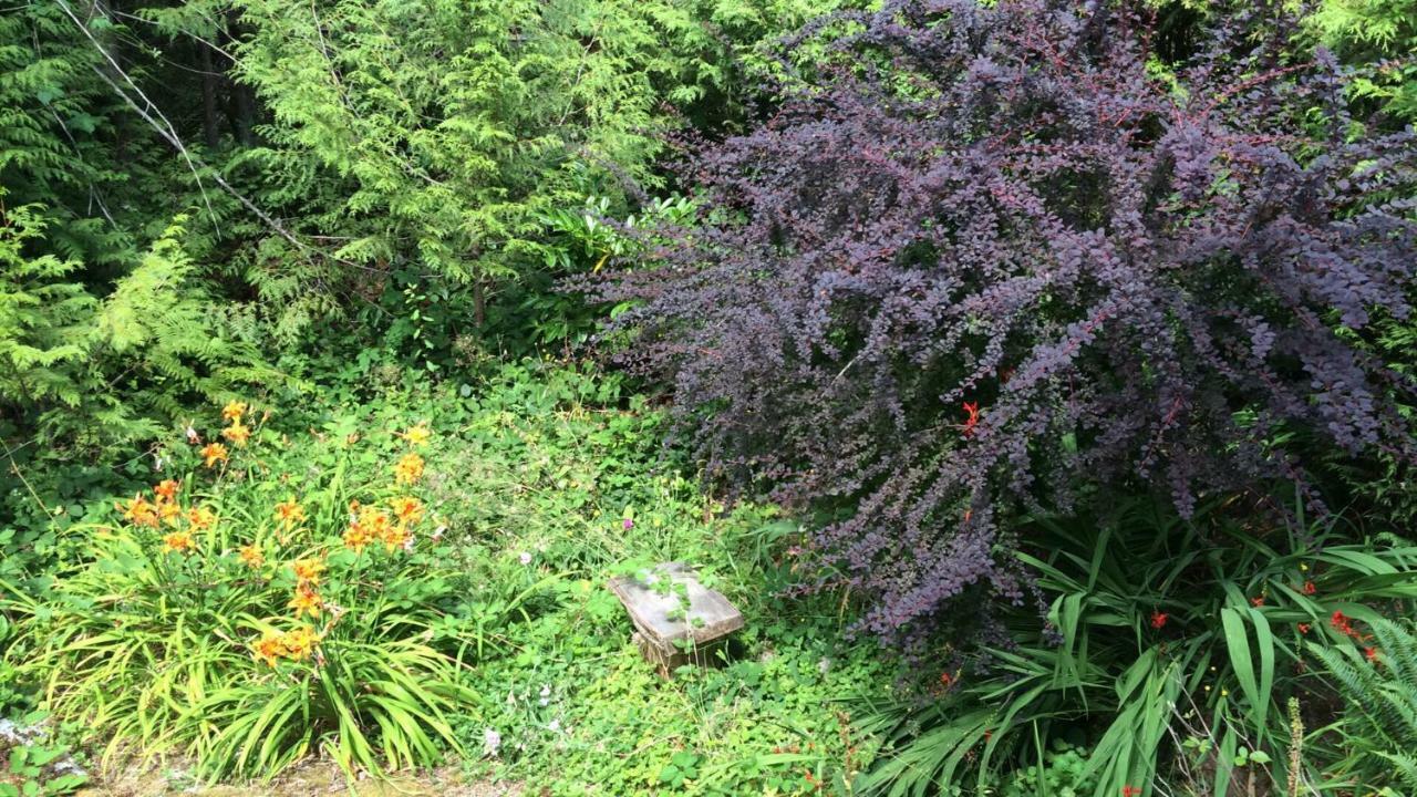 Secret Cove Cottage Suites Halfmoon Bay Exterior foto